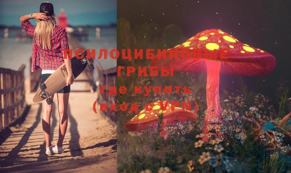 круглые Покачи