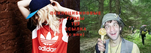 МДПВ Покровск