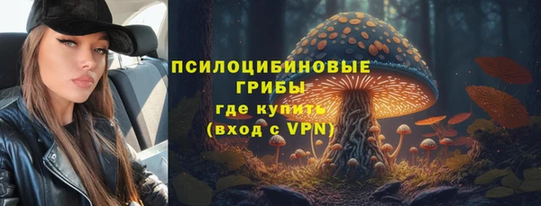 круглые Покачи